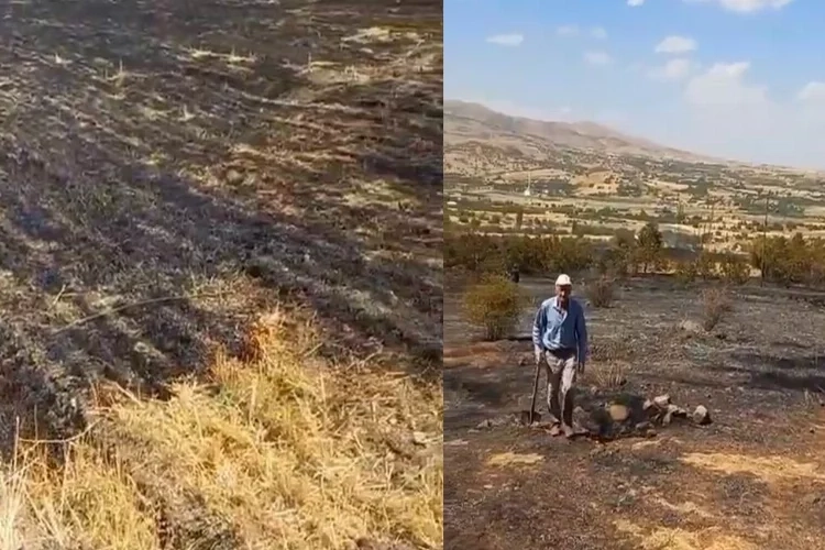 Trafodan çıkan kıvılcım otluk alanı yaktı haberinin görseli