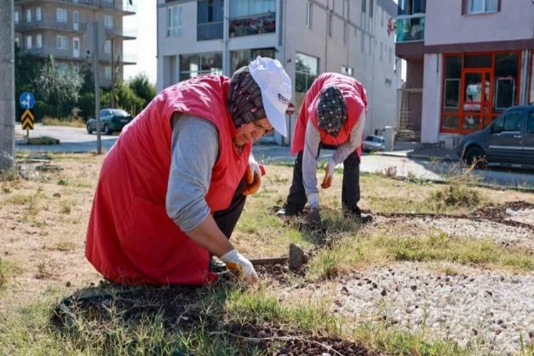 Uşak'ta çevre düzenlenme çalışması