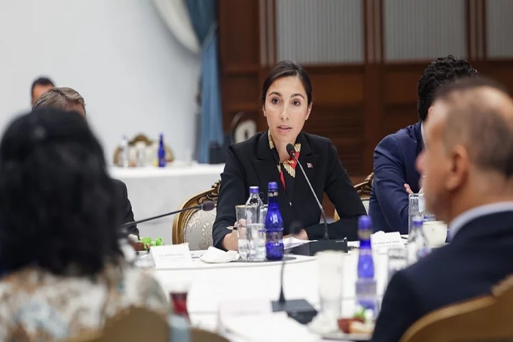 TCMB Başkanı Erkan'dan enflasyon açıklaması haberinin görseli