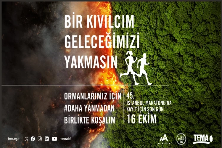 TEMA: Desteğinize ihtiyacımız var haberinin görseli