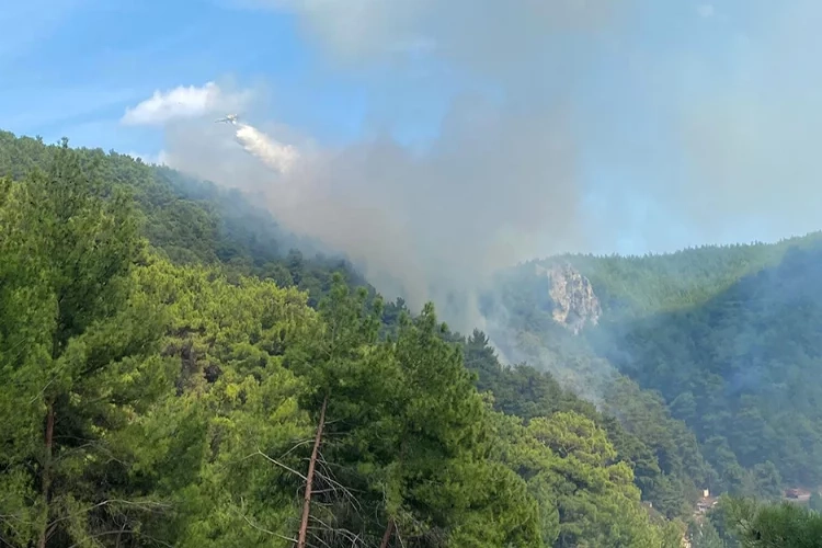 Çanakkale’de orman yangını