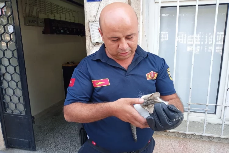 Aydın'da bodrum havalandırmasına yavru kedi düştü