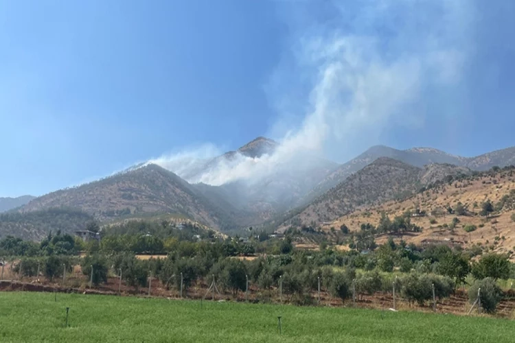 Kahramanmaraş'ta orman yangını