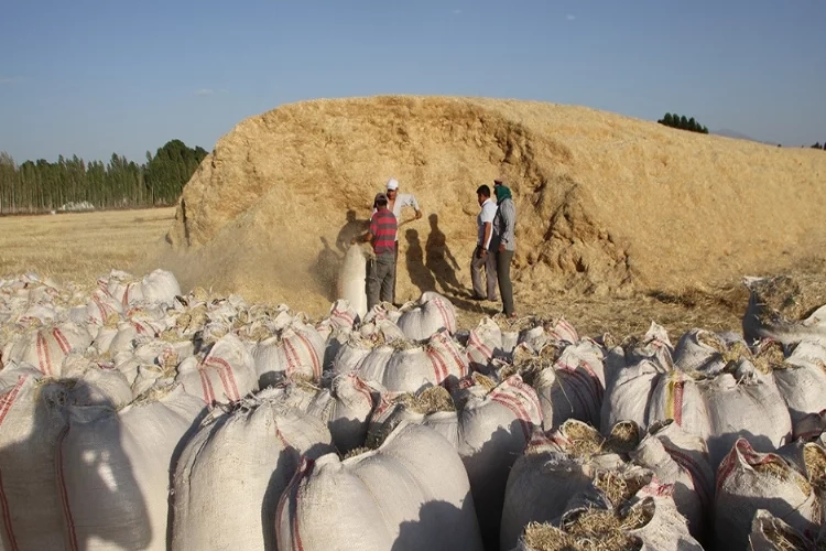 Muş’ta saman satışı başladı haberinin görseli