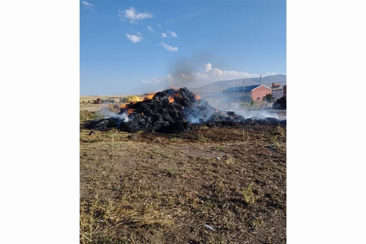 Kars’ta korkutan yangın: 20 ton ot küle oldu haberinin görseli