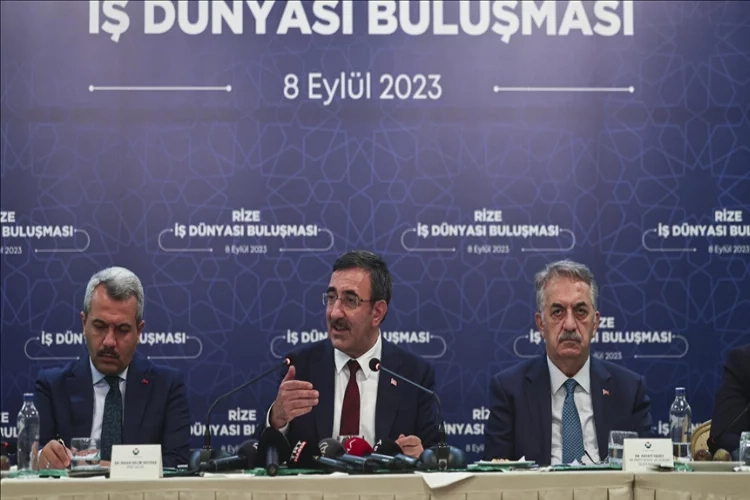 Cumhurbaşkanı Yardımcısı Yılmaz: Kamuda mali disiplini koruyacağız haberinin görseli