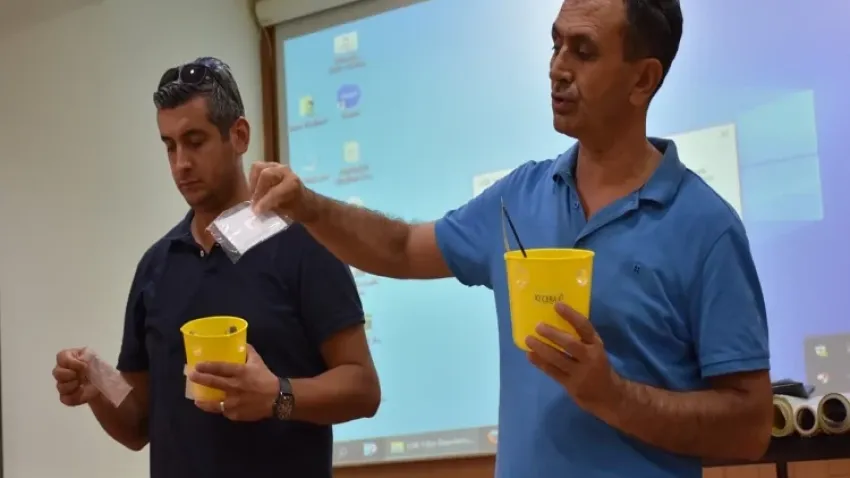 Aydın’da Akdeniz Meyve Sineği ile mücadele haberinin görseli