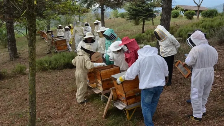 Arı zehri üretim kursu sona erdi haberinin görseli