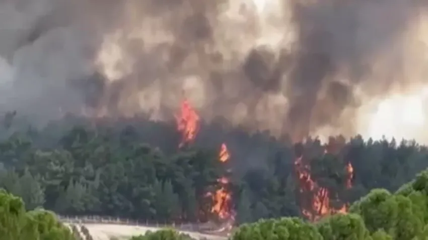 İzmir’de orman yangını çıktı!