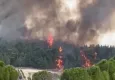 İzmir’de orman yangını çıktı!