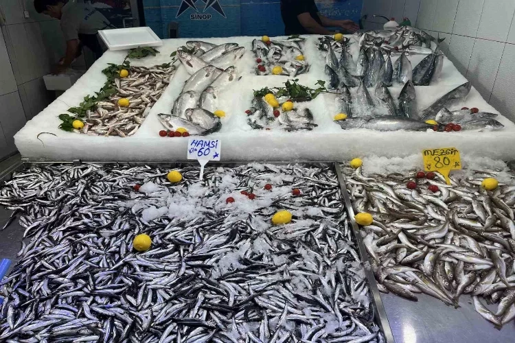 Sinop’ta hamsi tezgahla buluştu haberinin görseli