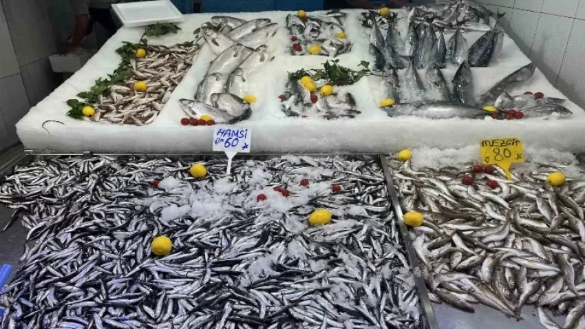 Sinop’ta hamsi tezgahla buluştu haberinin görseli