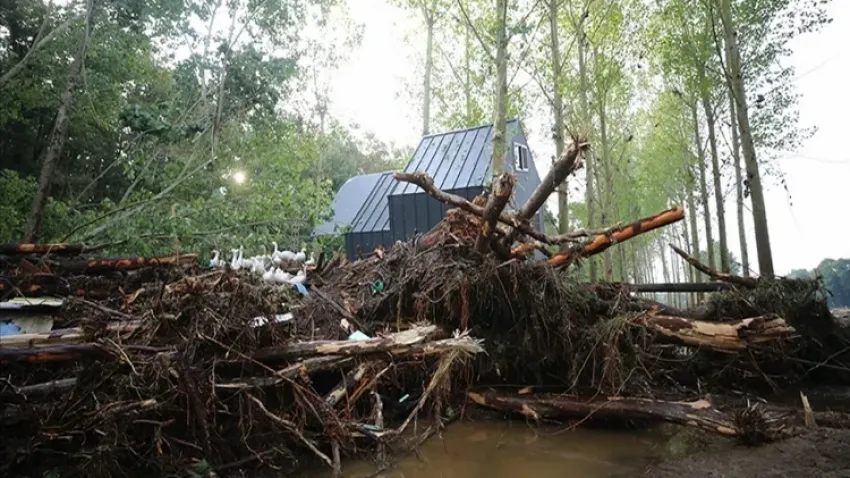 İğneada'daki ruhsatsız işletilen kamp yeriyle ilgili soruşturmada tutuklama