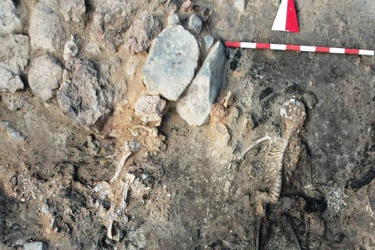 Kütahya'da kazılarda insan beyni ve deri kalıntıları çıktı  haberinin görseli