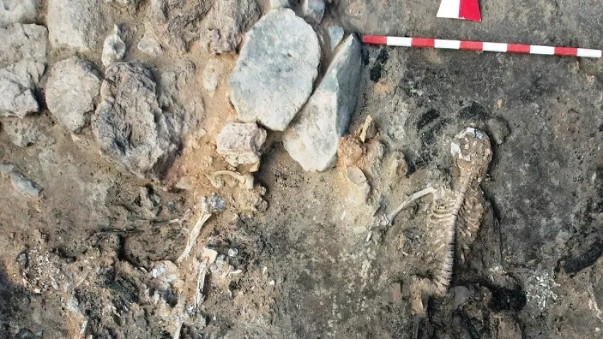 Kütahya'da kazılarda insan beyni ve deri kalıntıları çıktı  haberinin görseli