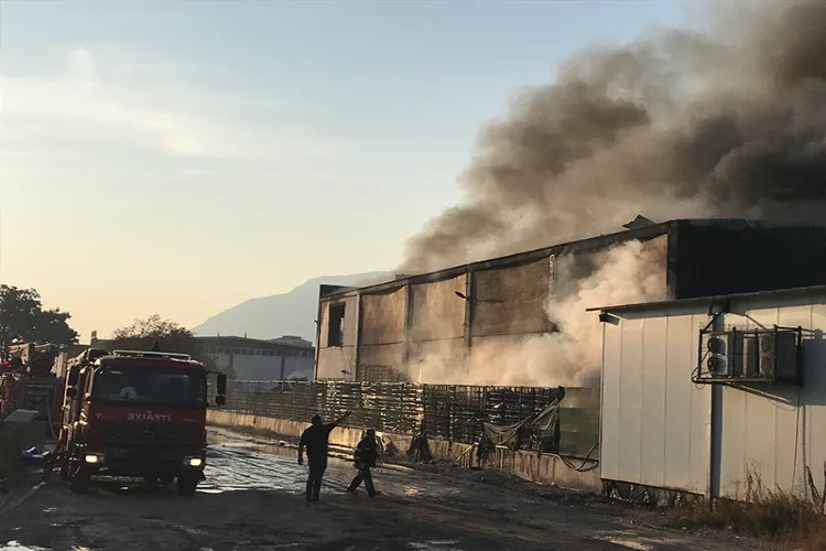 Manisa’da yangın paniği!   haberinin görseli