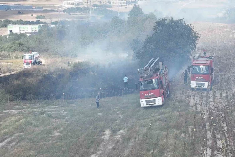 Tekirdağ’da korkutan orman yangını haberinin görseli