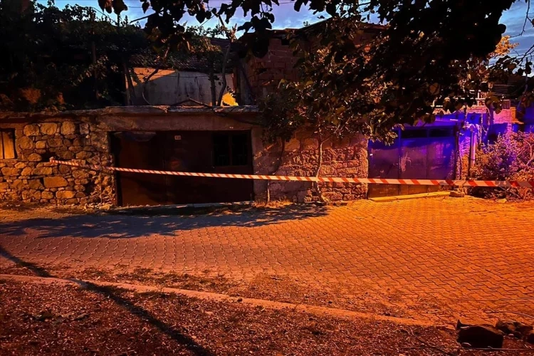 İncir toplamak istedi... Canından oldu haberinin görseli