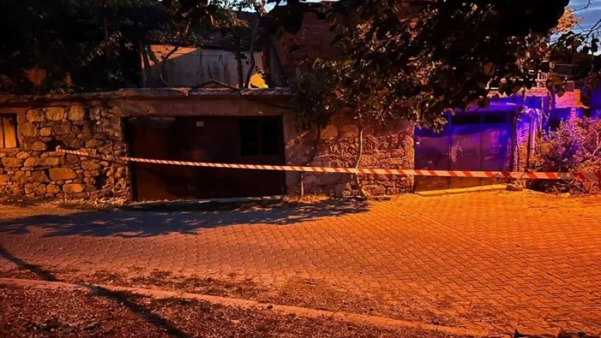 İncir toplamak istedi... Canından oldu haberinin görseli