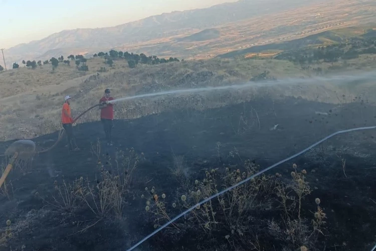 Bingöl’de yangın ormana sıçramadan kontrol altına alındı