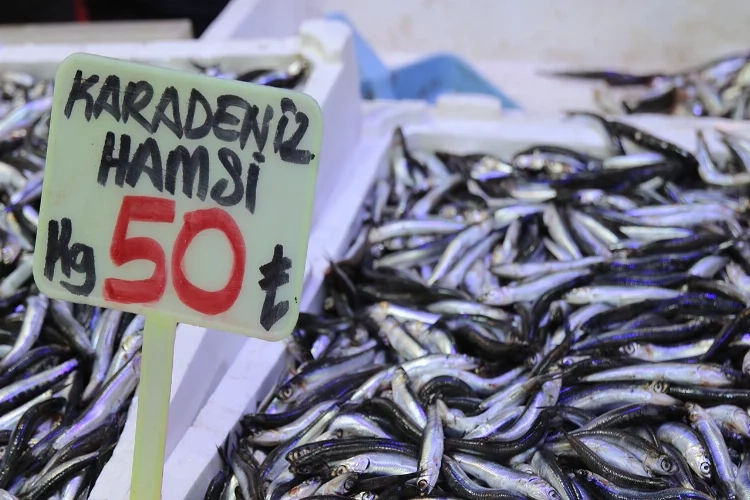 Tezgahlarda hamsi bolluğu yaşanıyor