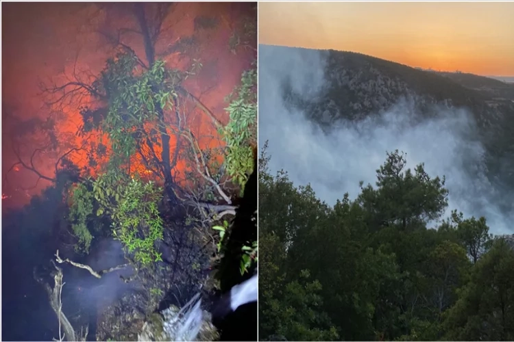 Bilecik'te korkutan orman yangını! haberinin görseli