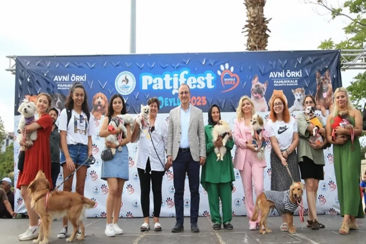 En güzel patiler Denizli’de görücüye çıktı haberinin görseli