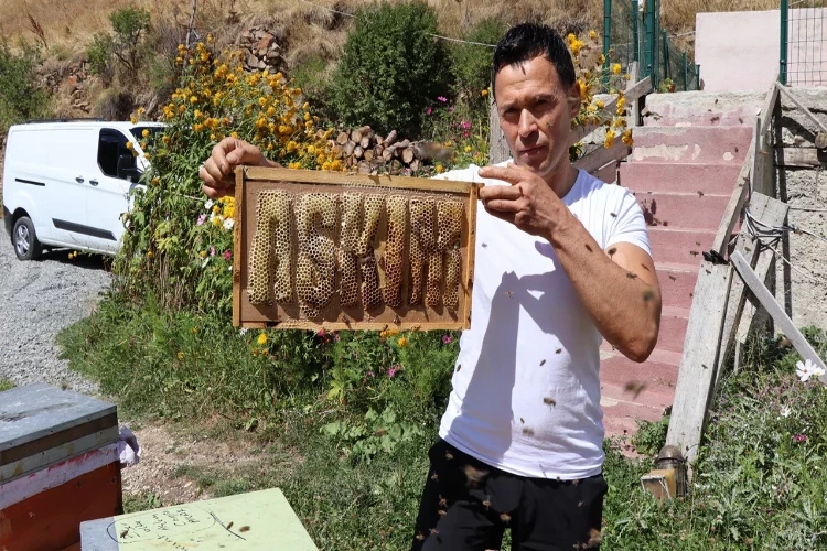 Arılara yazmayı öğreten adam haberinin görseli