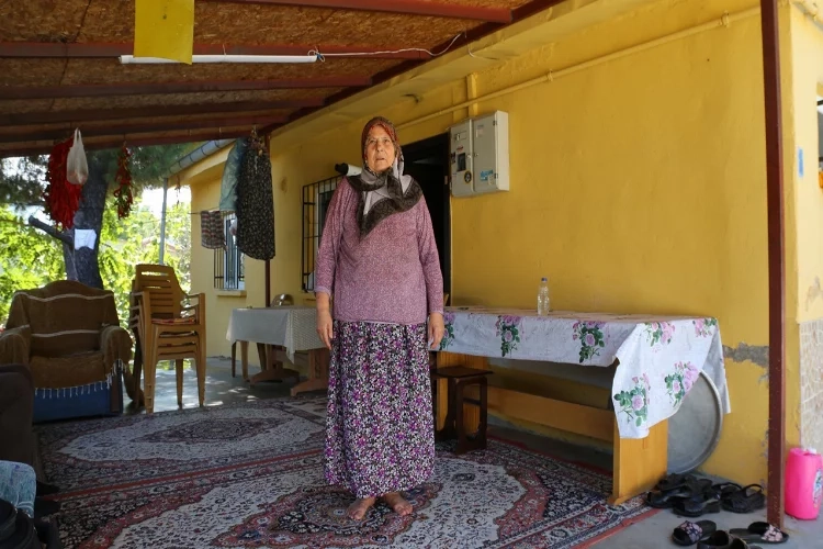 Enerya'dan yaşlı kadına fatura şoku haberinin görseli