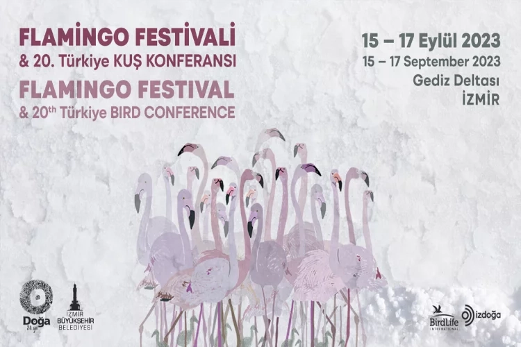 İzmir, Flamingo Festivali için gün sayıyor haberinin görseli