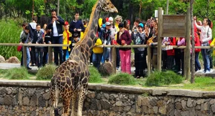 Büyükşehir’den öğrencilere ‘Sasalı’ müjdesi