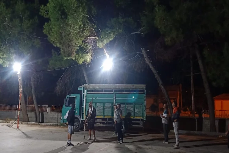 Denizli'de bir genç ağaçta mahsur kaldı haberinin görseli