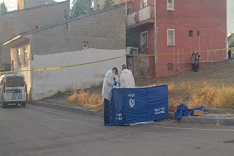 Erzurum'da konteynerde bebek cesedi bulundu haberinin görseli
