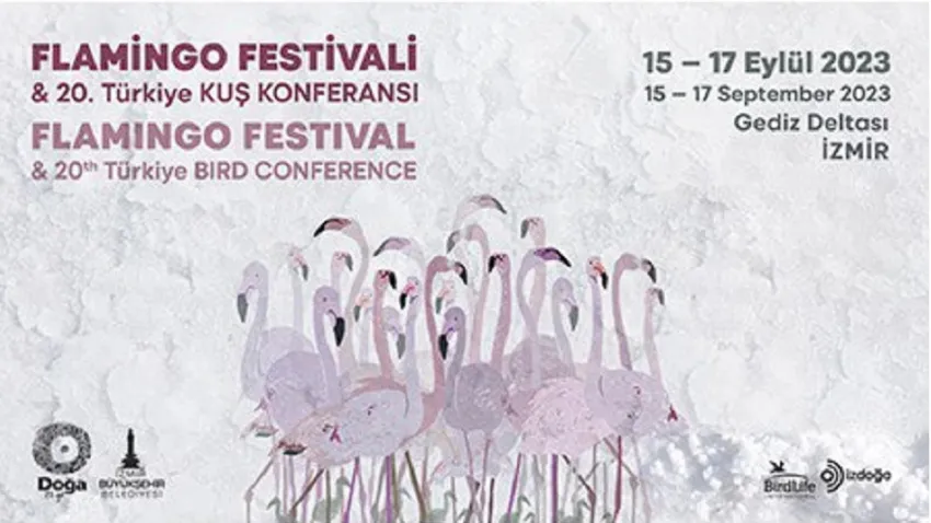 flamingo fest