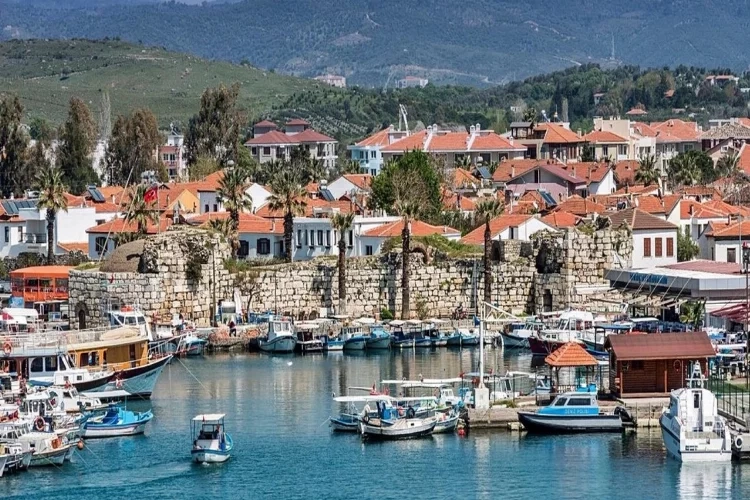 Ormanlık alanda projeye bakanlıktan vize haberinin görseli