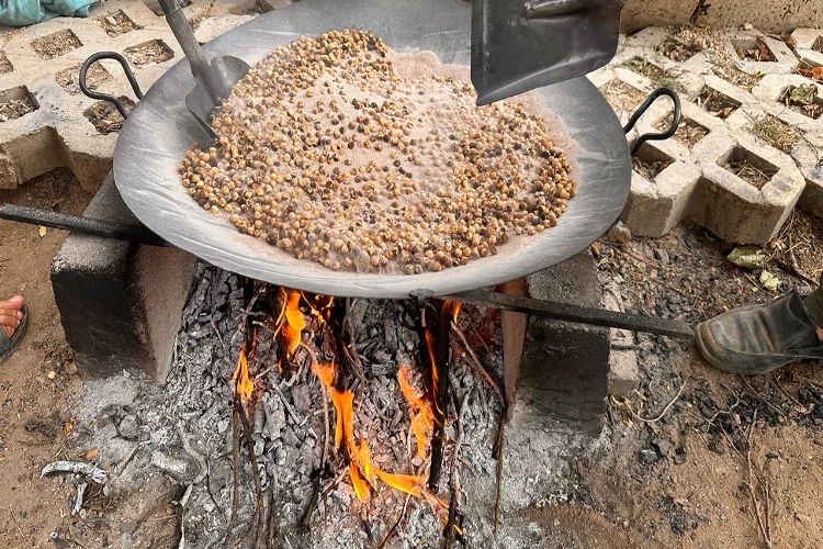 Tescilli Ağın leblebisi nasıl yapılıyor?