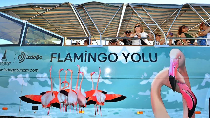 Flamingo Festivali26 (1)