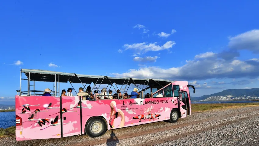 Flamingo Festivali26 (2)