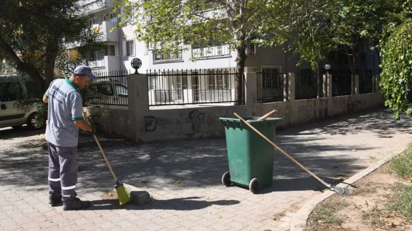 çiçek ve saksı (2)