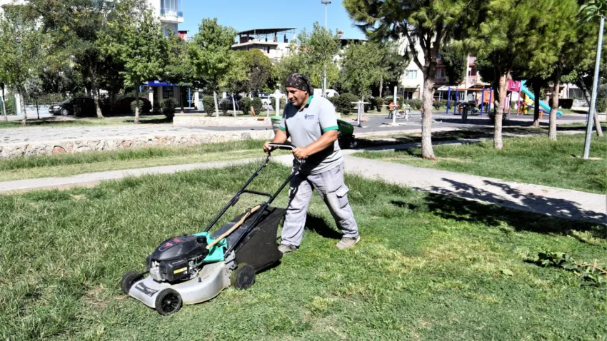 çiçek ve saksı (3)