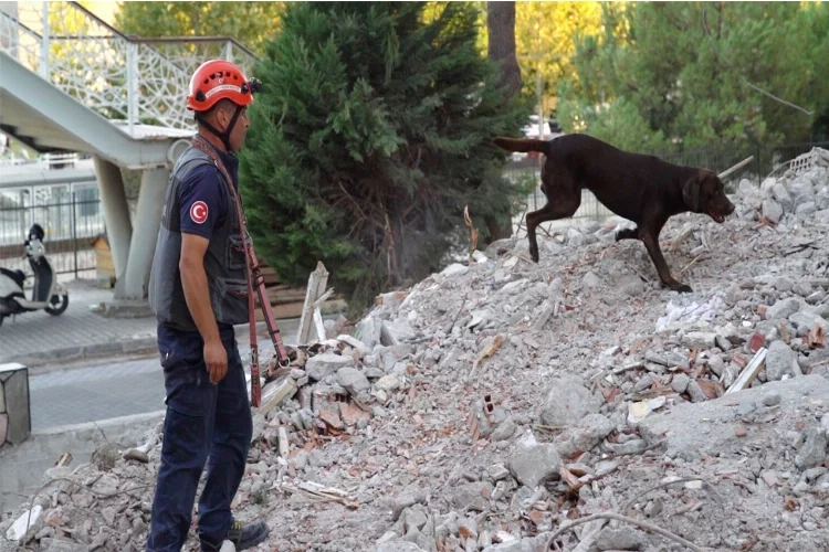 Kurtarma köpeği Ateş'e enkazda eğitim