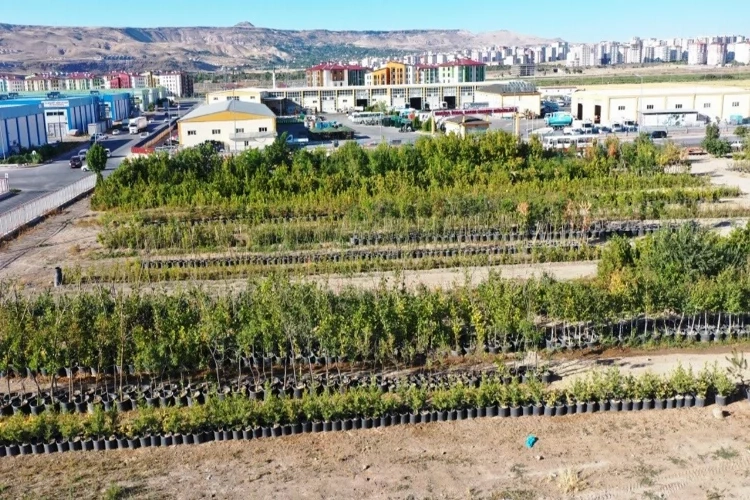 Kayseri’de yeşillendirme çalışması