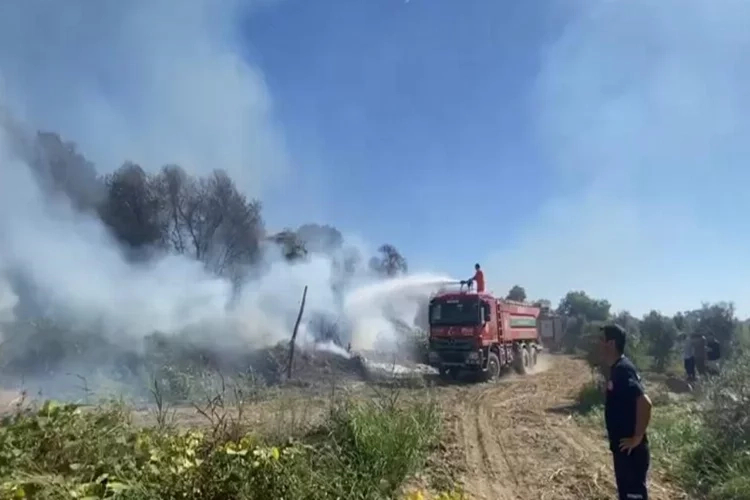 Antalya kuş cennetinde yangın