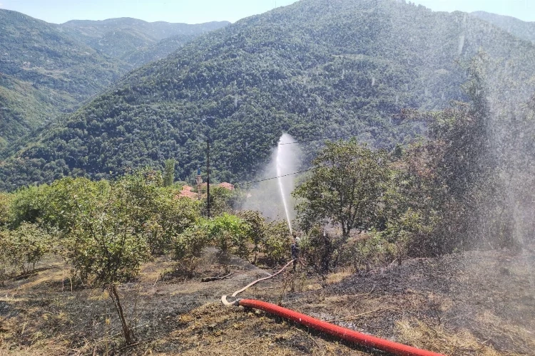 Kastamonu'da anız yangını ormanlık alana sıçradı