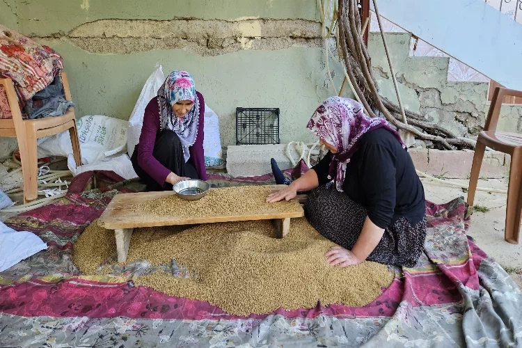 Buğdayın, bulgur olma yolculuğu başladı