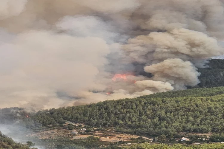 Alanya'da orman yangını