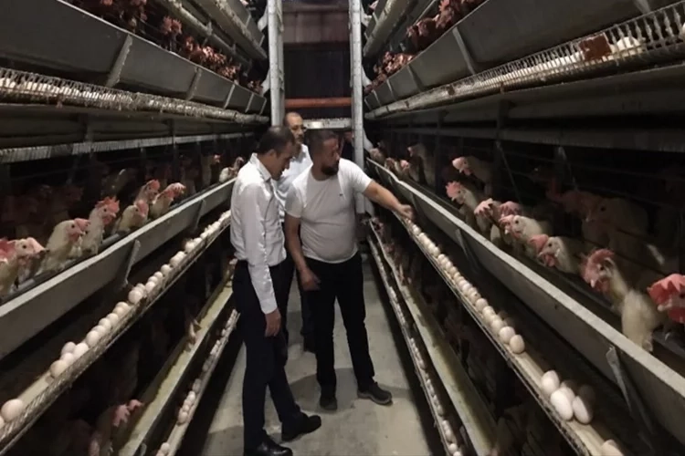 Burhaniye Kaymakamı’ndan yumurta ve et üretim tesislerine ziyaret haberinin görseli