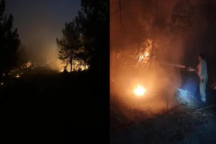 İzmir Buca’da korkutan orman yangını! haberinin görseli