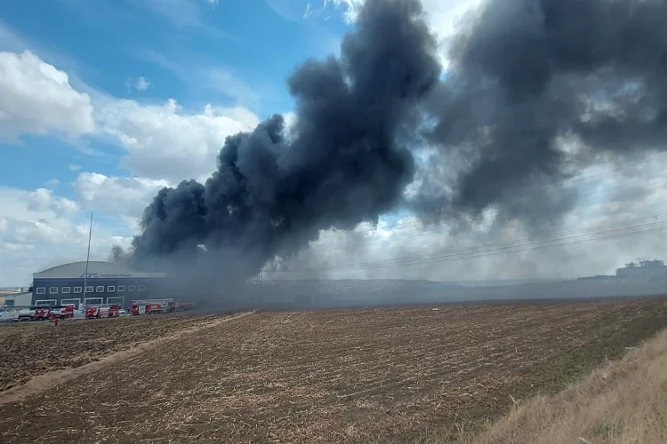 Silivri'de yangın: Alevler fabrikaya sıçradı haberinin görseli