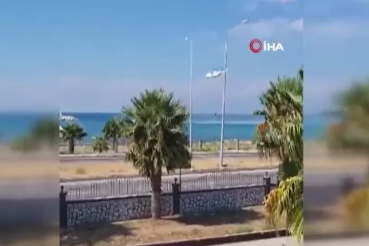 Adana'da orman yangını kontrol altında haberinin görseli